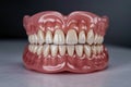 Close up of complete set of upper and lower dentures with white teeth and pink gums Royalty Free Stock Photo