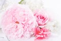 Close-up of composition of delicate pink rose and hydrangea flowers. Floral background in soft color and blur style. Royalty Free Stock Photo