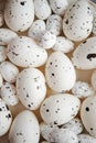 Close up composition of white traditional chicken and quail, black dotted Easter eggs