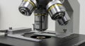 Close-up of a compound microscope showing four objective lenses, including a 348 Royalty Free Stock Photo