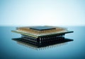 Close-up of a computer microchip reflecting on a glossy surface