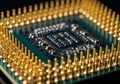 Close-up of a computer microprocessor displaying an array of gold pins on its surface. The integrate Royalty Free Stock Photo