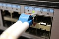 Close up of a computer network fiber optic cable connected to a switch Royalty Free Stock Photo