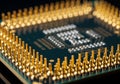 Close-up of a computer processor shows a grid of gold pins on a green circuit board. The pins are Royalty Free Stock Photo