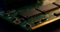 Close-up of Computer RAM Module with Chips and Gold Pins Royalty Free Stock Photo