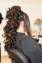 Concept cut salon female stylist hairdresser Royalty Free Stock Photo