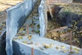 A close-up of the concrete footing in concrete forms with reinforcement bars as a concrete foundation for a fence Royalty Free Stock Photo