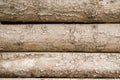 Close up coniferous logs stacked horizontally. Pine tree bark texture. Natural copy space,organic concept.Wooden pattern