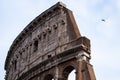 Close-up on the consolidation of the ruins of the famous colosseum in Rome