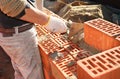 Close-up of construction process mason work with brick installation by trowel putty knife outdoors Royalty Free Stock Photo