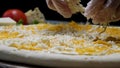 Close up for cook`s hands in cooking gloves putting cheese on the pizza Four Cheeses. Frame. Chef adding the ingredients Royalty Free Stock Photo