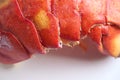 Cooked Lobster Tail Royalty Free Stock Photo