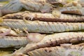 Close-up, cooked mackerel seasoned with olive oil and onion