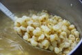 Close up of a cooked mote ecuadorian traditional typical andean food