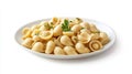 Close-up of Cooked Pasta Shells on a White Plate Royalty Free Stock Photo