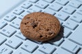 Close-up of a cookie on a computer keyboard. Royalty Free Stock Photo