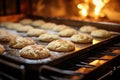 close-up of cookies on baking sheet in a warm oven light Royalty Free Stock Photo