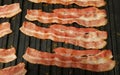 Close up cooking bacon slices on electric grill Royalty Free Stock Photo