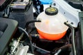 Close up Coolant container in a carengine bay Royalty Free Stock Photo