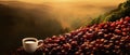 A delicious white cup of coffee on the spilled heap of coffee seeds in an outdoor blurred nature background. AI generated.