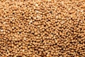 Close up of coriander seeds Royalty Free Stock Photo