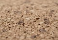 A close-up of a cork surface reveals its distinctive texture, composed of small, Royalty Free Stock Photo
