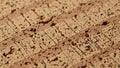 Close up of a cork surface showing its natural texture and pattern Royalty Free Stock Photo