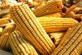 Close up of corn cobs