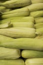 Close up of corn cobs Royalty Free Stock Photo