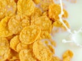 corn flakes in milk bowl