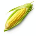 Close-up Corn Isolated On White Background - Layered Imagery With Subtle Irony