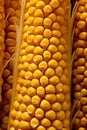 Close-Up of a Corn Kernel AI Generated Royalty Free Stock Photo