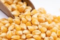 Close up of Corn kernel isolated on white background Royalty Free Stock Photo