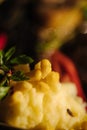 Close-up of corn on mashed potatoes. Delicious vegan food Royalty Free Stock Photo