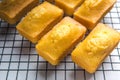 Close-up of corn muffins on plate with bowl of corn meal and additional muffins in the background Royalty Free Stock Photo