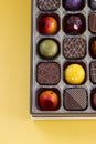 Gourmet Assorted Chocolates in a Box Royalty Free Stock Photo