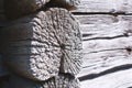 Close-up of the corner of an old strong shed. Corner of a wooden peasant house. Untreated natural wood with cracks in the round se