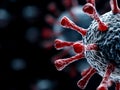 A close up of a coronavirus on a black background Royalty Free Stock Photo