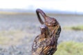 Anchor on the estuary at Ravenglass in Cumbria, England, United