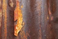 Close-up of corrugated sheet metal with nice rust and texture Royalty Free Stock Photo