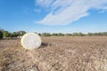 Close-up cotton bales on harvested field in Texas, USA Royalty Free Stock Photo