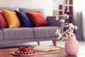 Close-up of cotton flowers in a pink vase standing on a wooden coffee table with an elegant living room interior