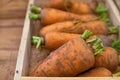 Close-up of counter with carrots. Organic food concept Royalty Free Stock Photo