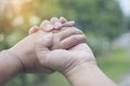 Close up on a couple of Asain male and female hands holding at green garden background Royalty Free Stock Photo