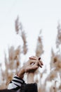 close-up of a couple's linked hands. Woman and man united Royalty Free Stock Photo