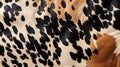 close-up of a cow\'s hide texture pattern, displaying the irregular patches and spots in shades of black by AI generated