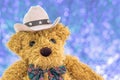 Close up cowboy teddy bear Royalty Free Stock Photo