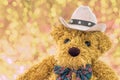 Close up cowboy teddy bear Royalty Free Stock Photo