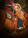 Close-up of cowgirl in the saddle on her red brown horse Royalty Free Stock Photo