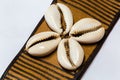 Close up of Cowrie shells belt from Nigeria